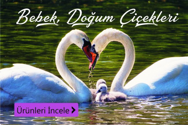 Bebek ve Doğum Çiçekleri - Çiçekçi