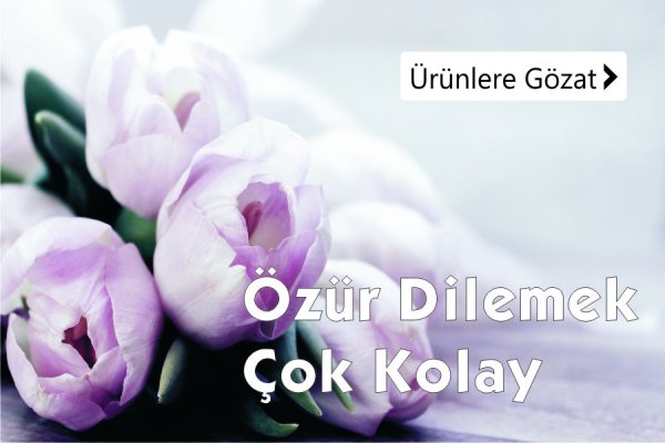 Özür Dileme Çiçeklerini Eskişehir'e gönder