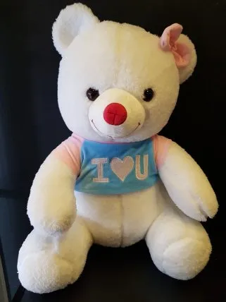 I love you ayıcık 