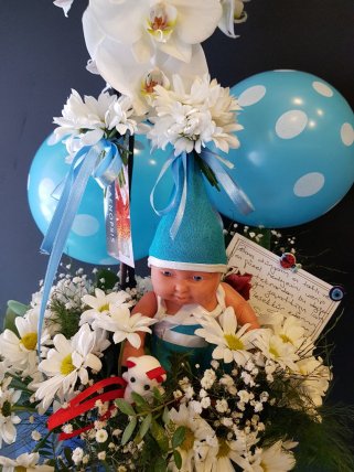 Canlı orkide erkek bebek arajman tanzim 