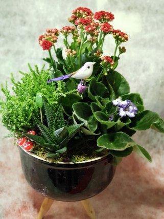 Canlı çiçek arajman kuş ve mantarlar 