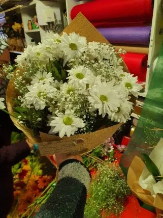 Papatya demeti 