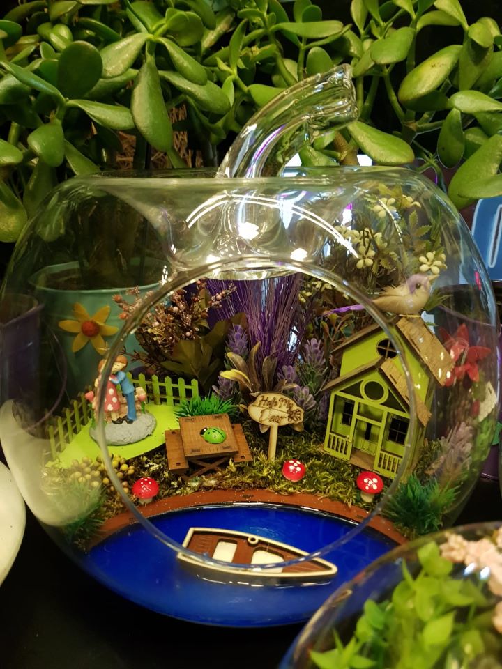 Eskişehir Çiçekçi-TERRARİUM