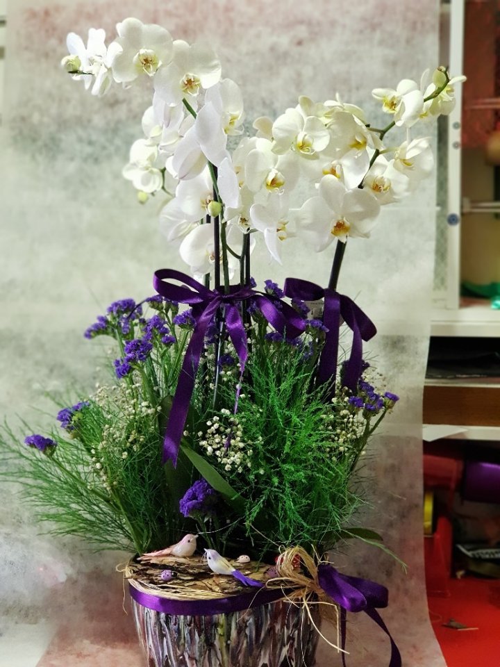 4 dallı orkide özel arajman 