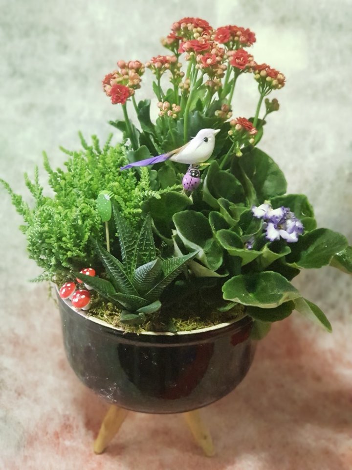 Canlı çiçek arajman kuş ve mantarlar 