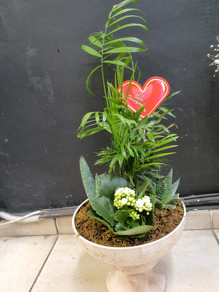 Seramik saksılı arajman 