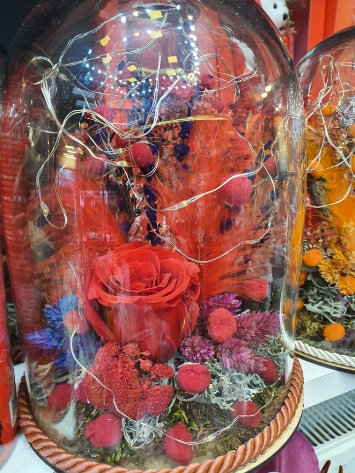 Şoklanmış gül ışıklı renkler mevcut stoğa göre değişiklik gösterebilir. Lütfen renk belirtiniz.